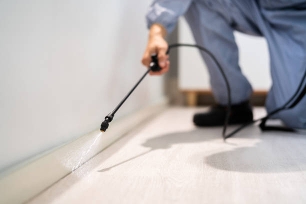 Licensed Rodent Control service in Sheridan County County, WY - Nex Pest Control